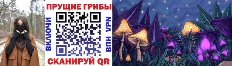сайты даркнета наркотические препараты  Осташков  Псилоцибиновые грибы Magic Shrooms  kraken вход 